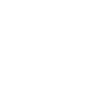 Avalanche-OS Logo